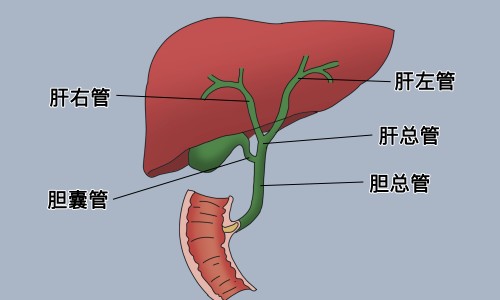 腰部疼痛尿血-权威腰疼血尿是什么毛病平台,分享专业腰疼尿血怎么回事知识_腰痛尿有血是什么症状网